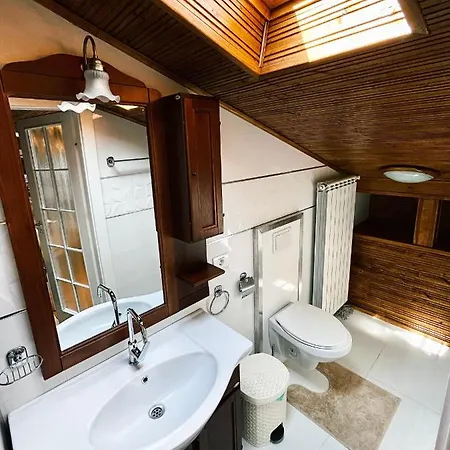 Mansion 10 דירה *